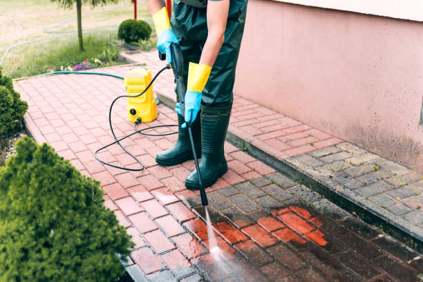 Best Fence Cleaning and Maintenance in Wadena, MN